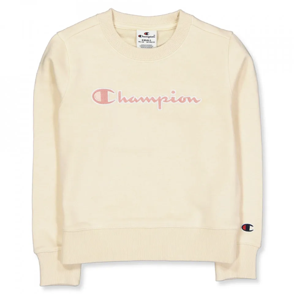 Champion Sweatshirt 